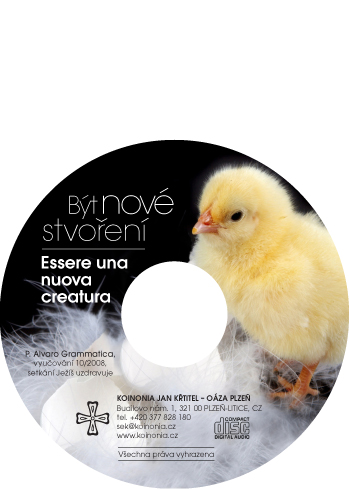 B&Atilde;&frac12;t nov&Atilde;&copy; stvo&Aring;�en&Atilde;&shy;