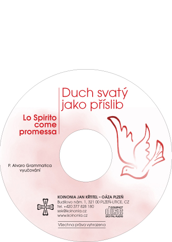Duch svat&Atilde;&frac12; jako p&Aring;�&Atilde;&shy;slib