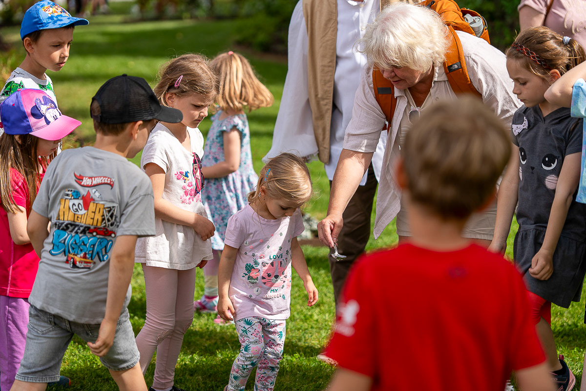 2025_06_01_Pohadkovy_les-081