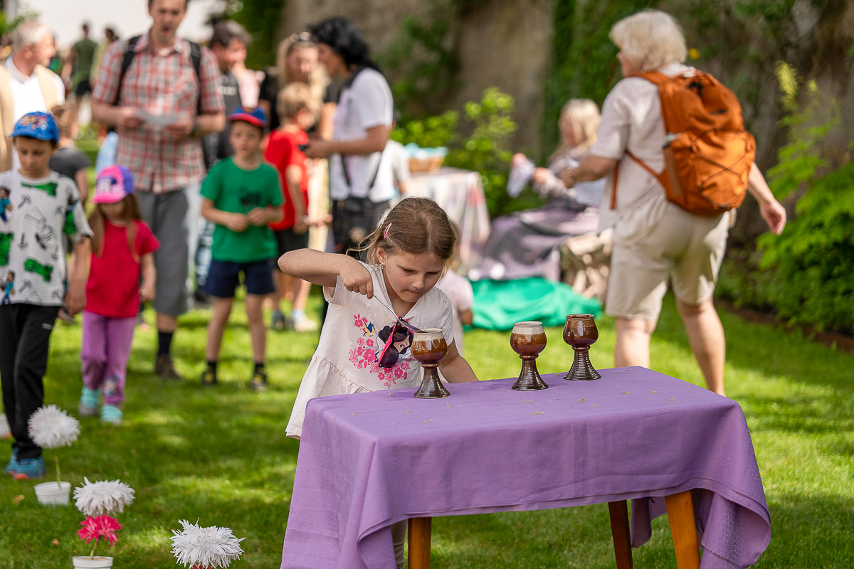 2025_06_01_Pohadkovy_les-084