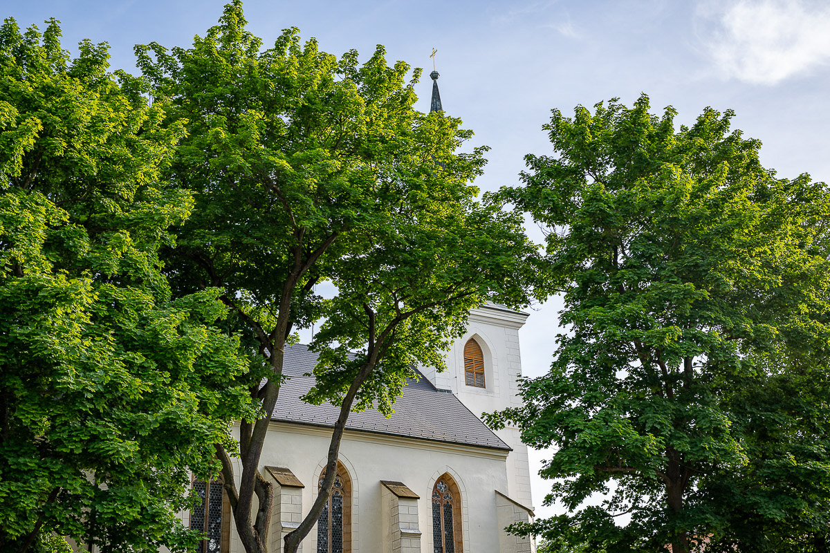 2025_06_01_Pohadkovy_les-205